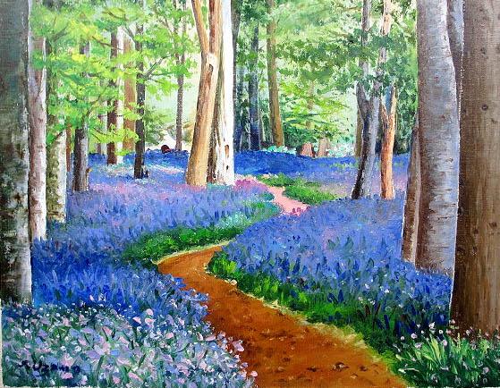 ブルーベルの森