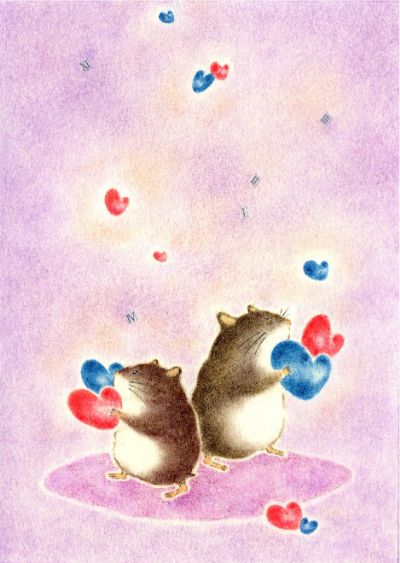 陰の花、陽の花、バランスをとることでちゃーんと成り立っている